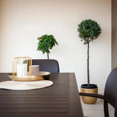 Salteria Vi Apartment *